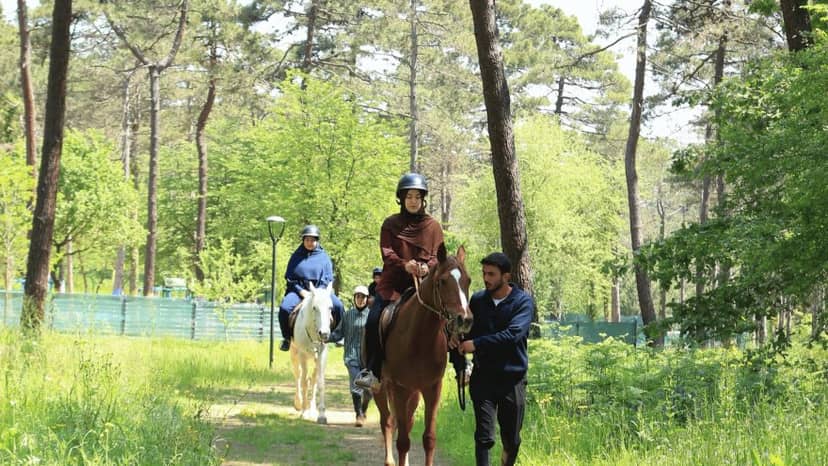 We Are Going Horse Riding